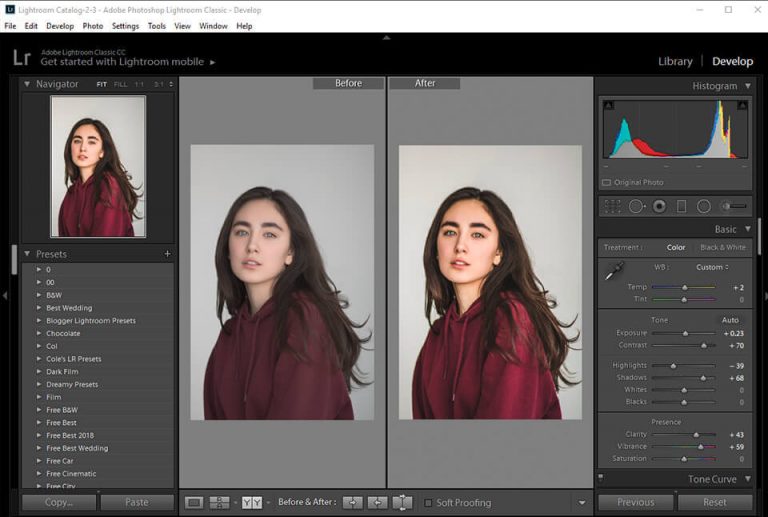Adobe Photoshop Lightroom v11.5.0 Crack + Torrent Latest Version