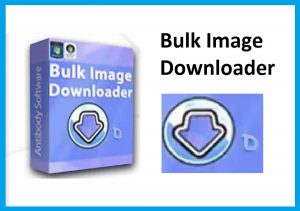 Bulk Image Downloader 5.87.0.0 Crack Full 5.87 Registration Code