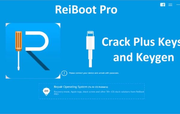 Tenorshare ReiBoot Pro 10.6.9 Crack + Registration Code 2022