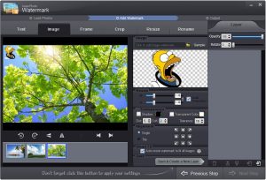 TSR Watermark Image Pro 3.7.3.0 With Crack Download Latest