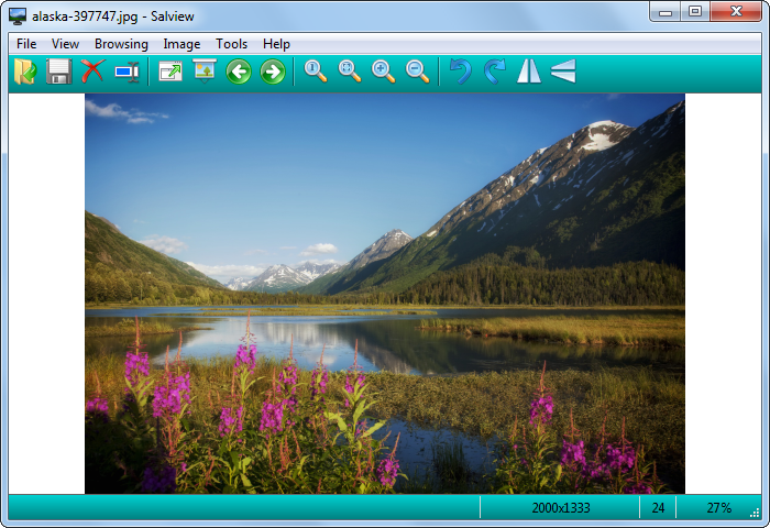 Salview Crack 7.1.0.533 with (x86/x64) [Latest] version free download 2022