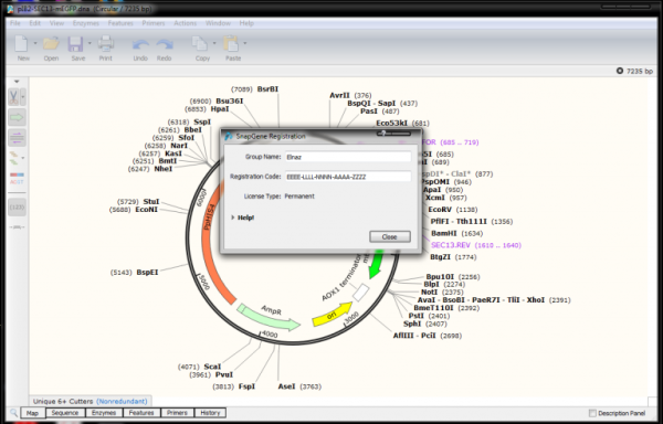 SnapGene 6.0.6 Crack With Keygen Latest Version Free Download 2022