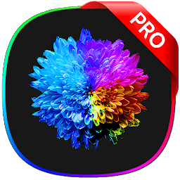 Flowers Pro 2022 Crack + Torrent With Patch Latest Version 2022